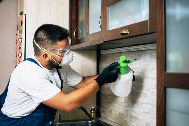 Best Best Pest Control Companies  in Bradley Gardens, NJ