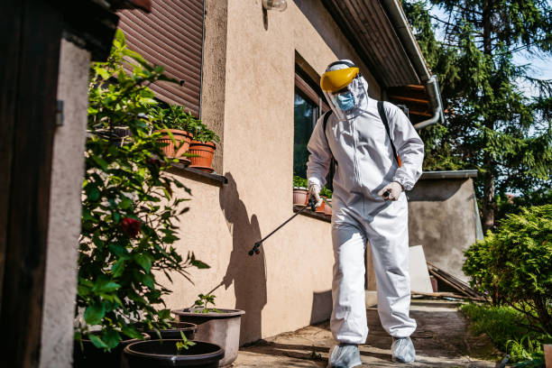 Best Best Pest Control Companies  in Bradley Gardens, NJ