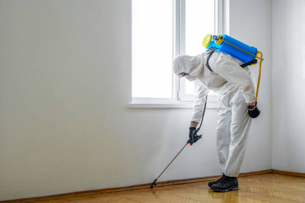 Wasp Removal Services in Bradley Gardens, NJ