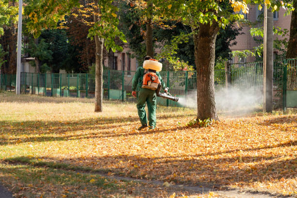 Best Pest Prevention Services  in Bradley Gardens, NJ