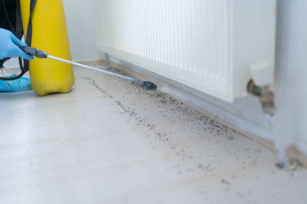 Reliable Bradley Gardens, NJ Pest Control Solutions