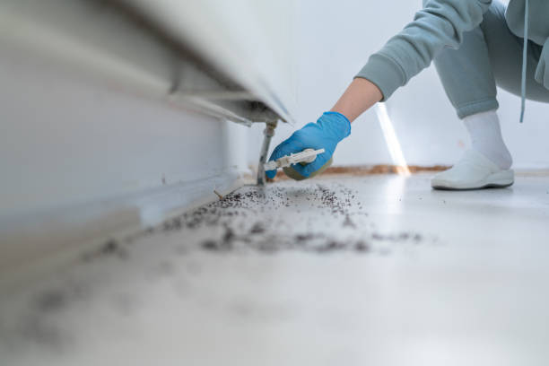 Best Pest Inspection Near Me  in Bradley Gardens, NJ