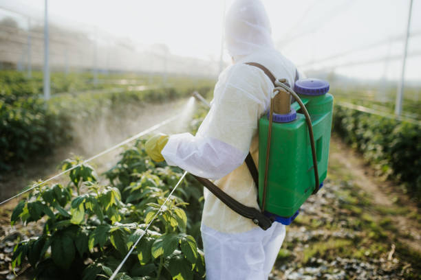 Best Pest Removal Services  in Bradley Gardens, NJ